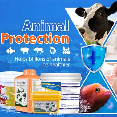 Tierdesinfektionsindustrie mit Desinfektionsprodukten